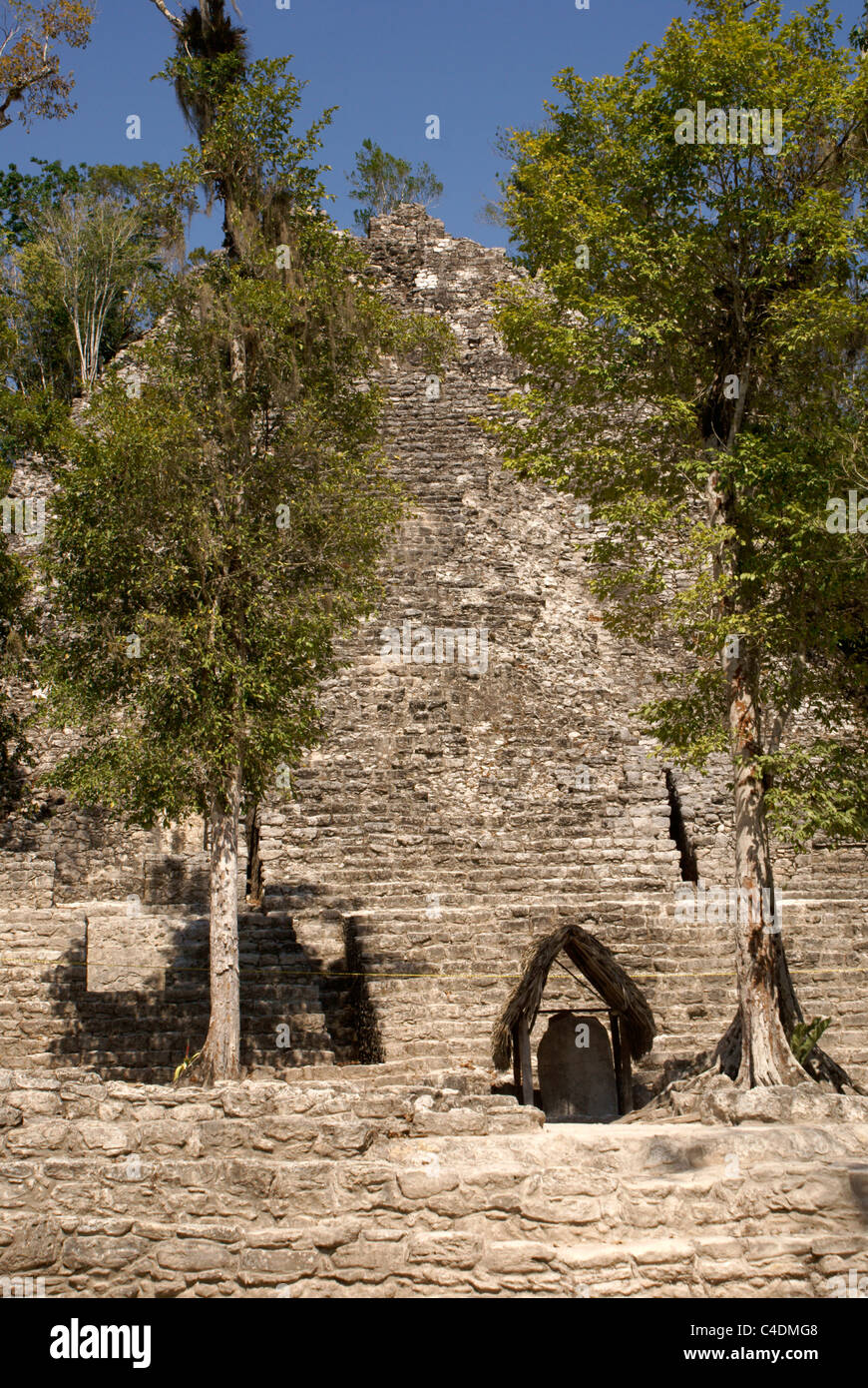 La Iglesia or Church pyramid in the Cobá Group at the Mayan ruins of Cobá, Quintana Roo, Mexico Stock Photo