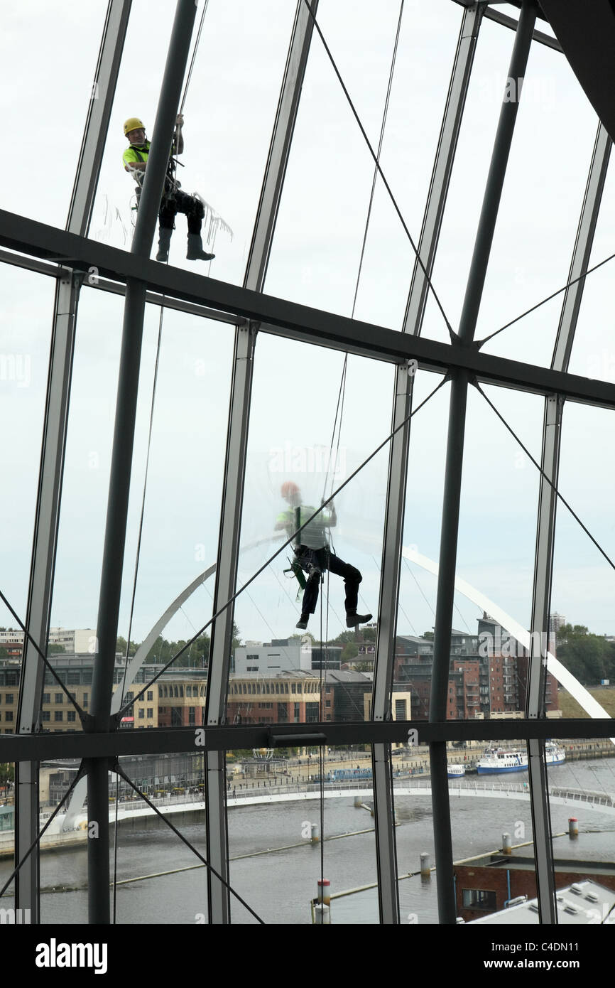 Cleaners work by abseiling down the walls of the Sage concert hall in Gateshead, Millennium bridge in background, NE England, UK Stock Photo