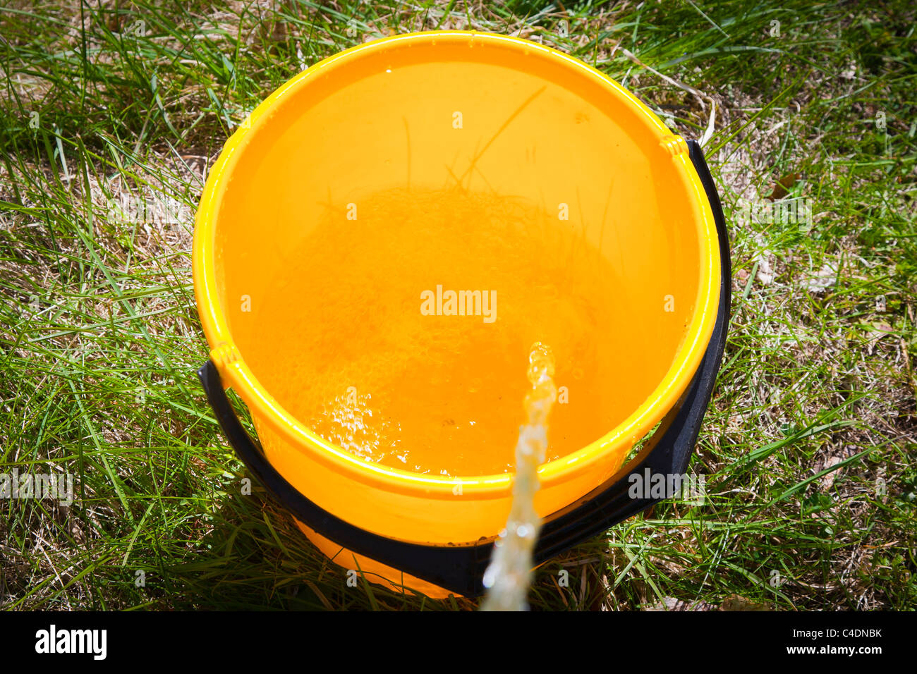 Download Yellow Plastic Bucket Filling Up With Water Stock Photo Alamy PSD Mockup Templates