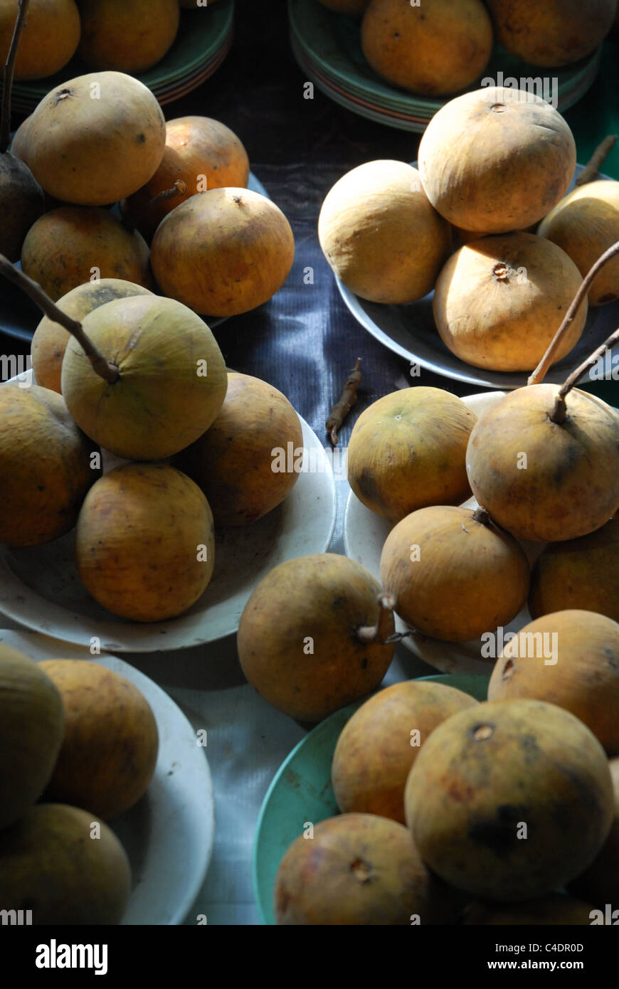Santol Fruit In English