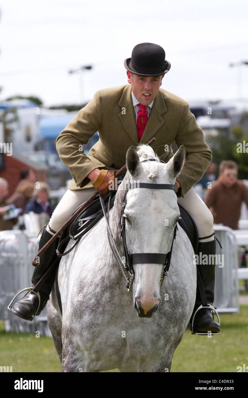 Galloping Horse at the 2011 Royal Cornwall Showground Events & Exhibits