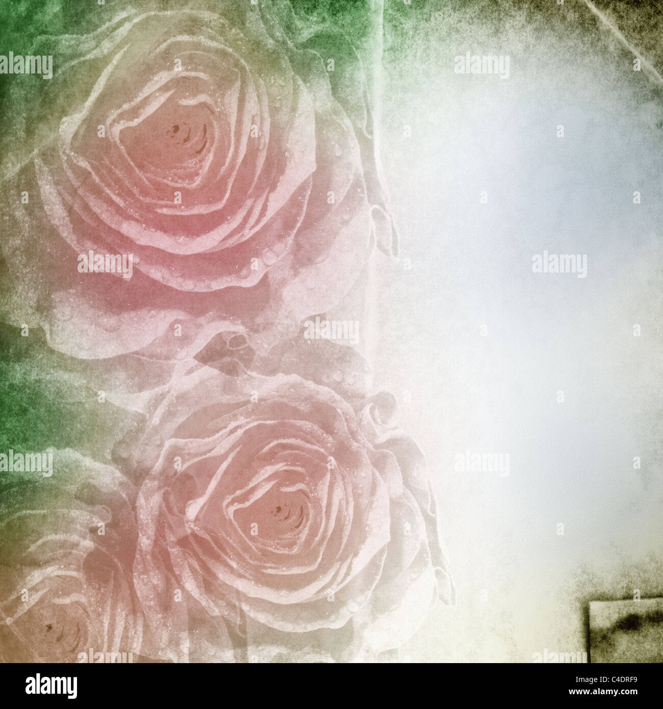 Textured grunge background with roses and space for text Stock Photo ...