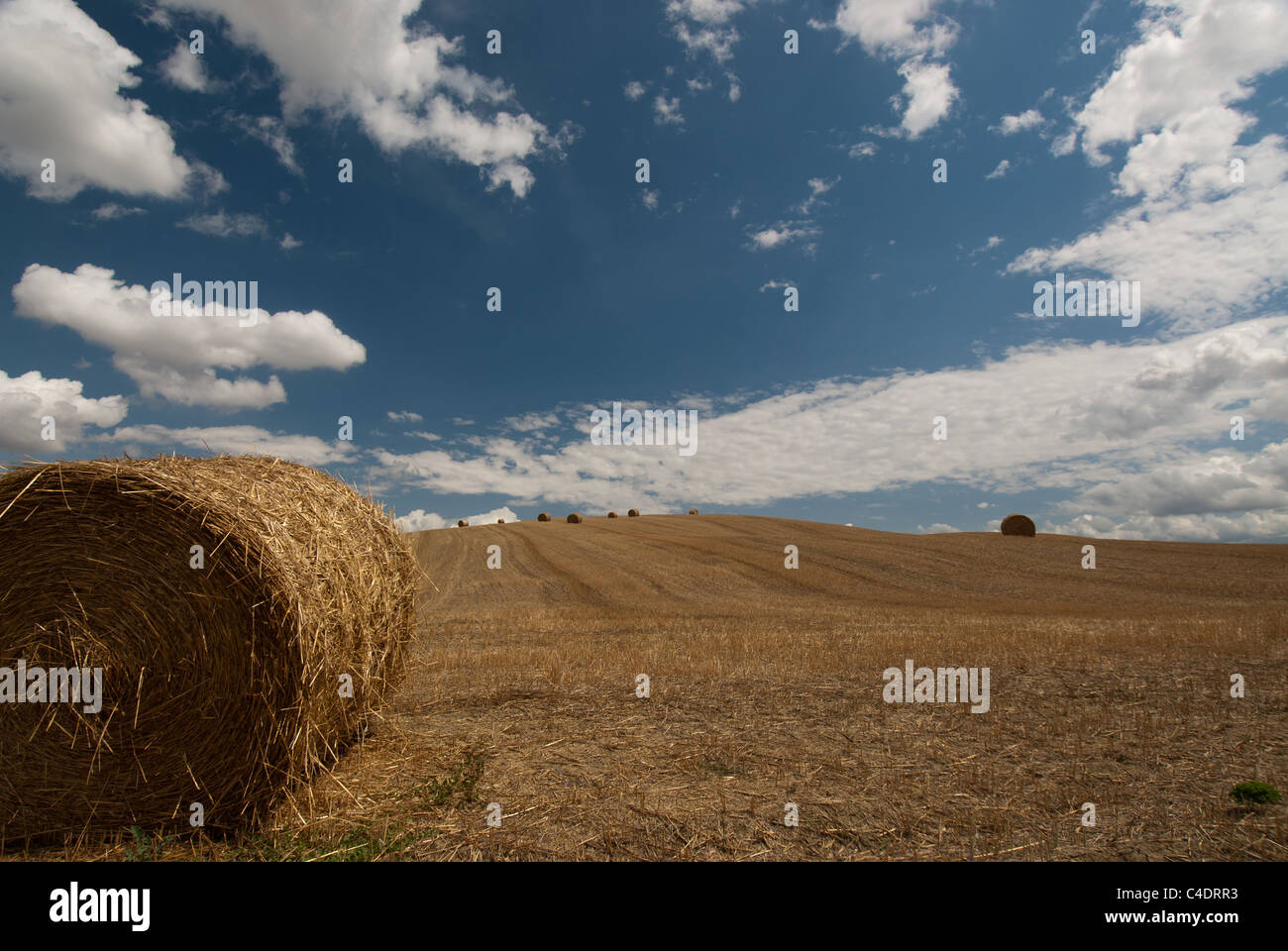 Rolled up Hay bales in a stubble field with cloudy blue skies Stock ...