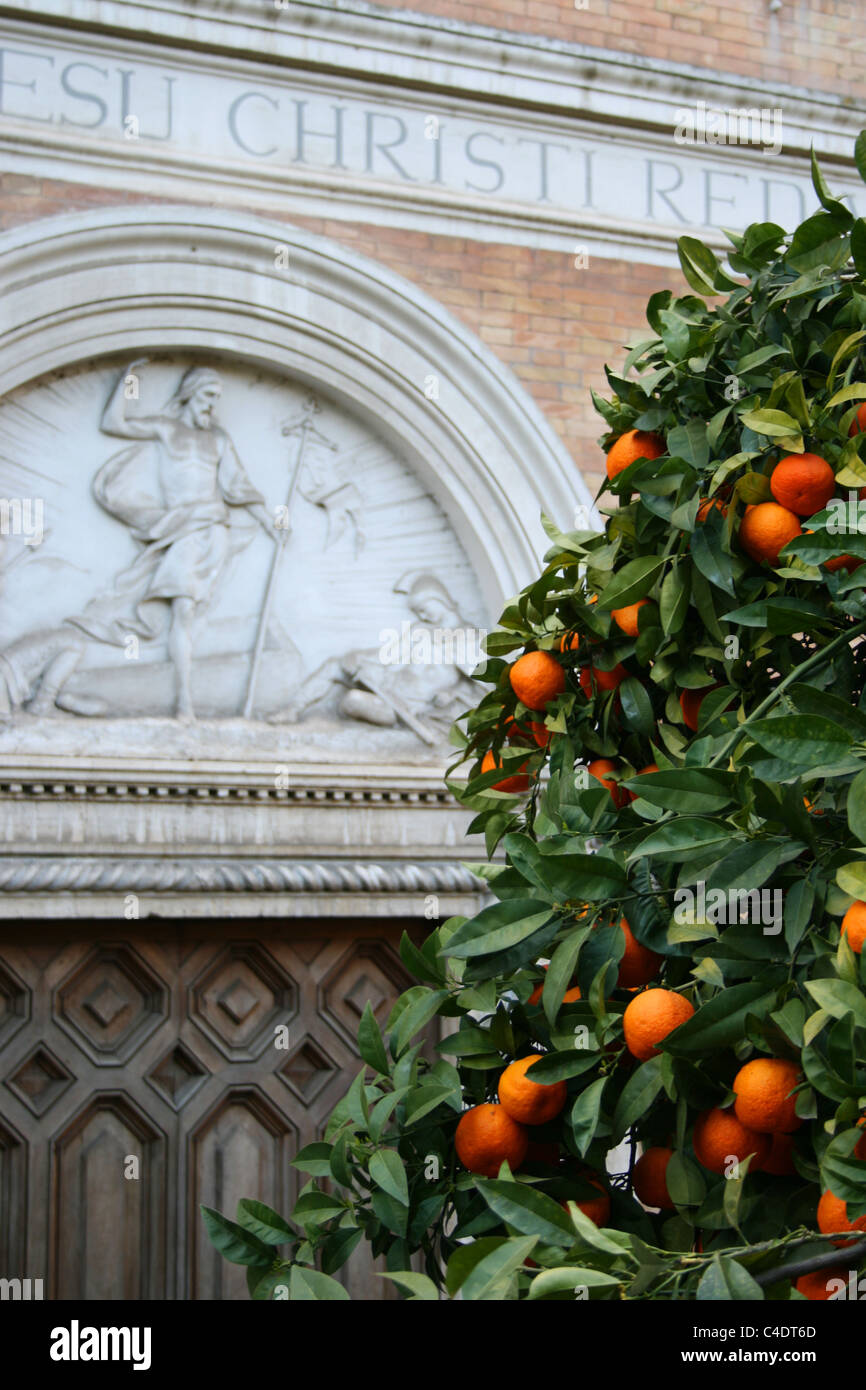 Orangery and orange tree hires stock photography and images Alamy