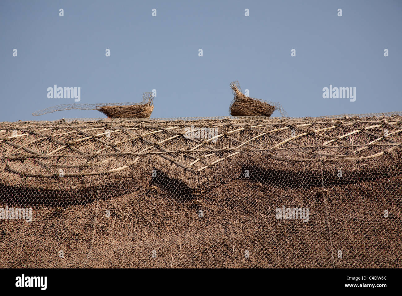 Thatch Protection Thatch roof with wire net for protection in Sussex England Stock Photo ...