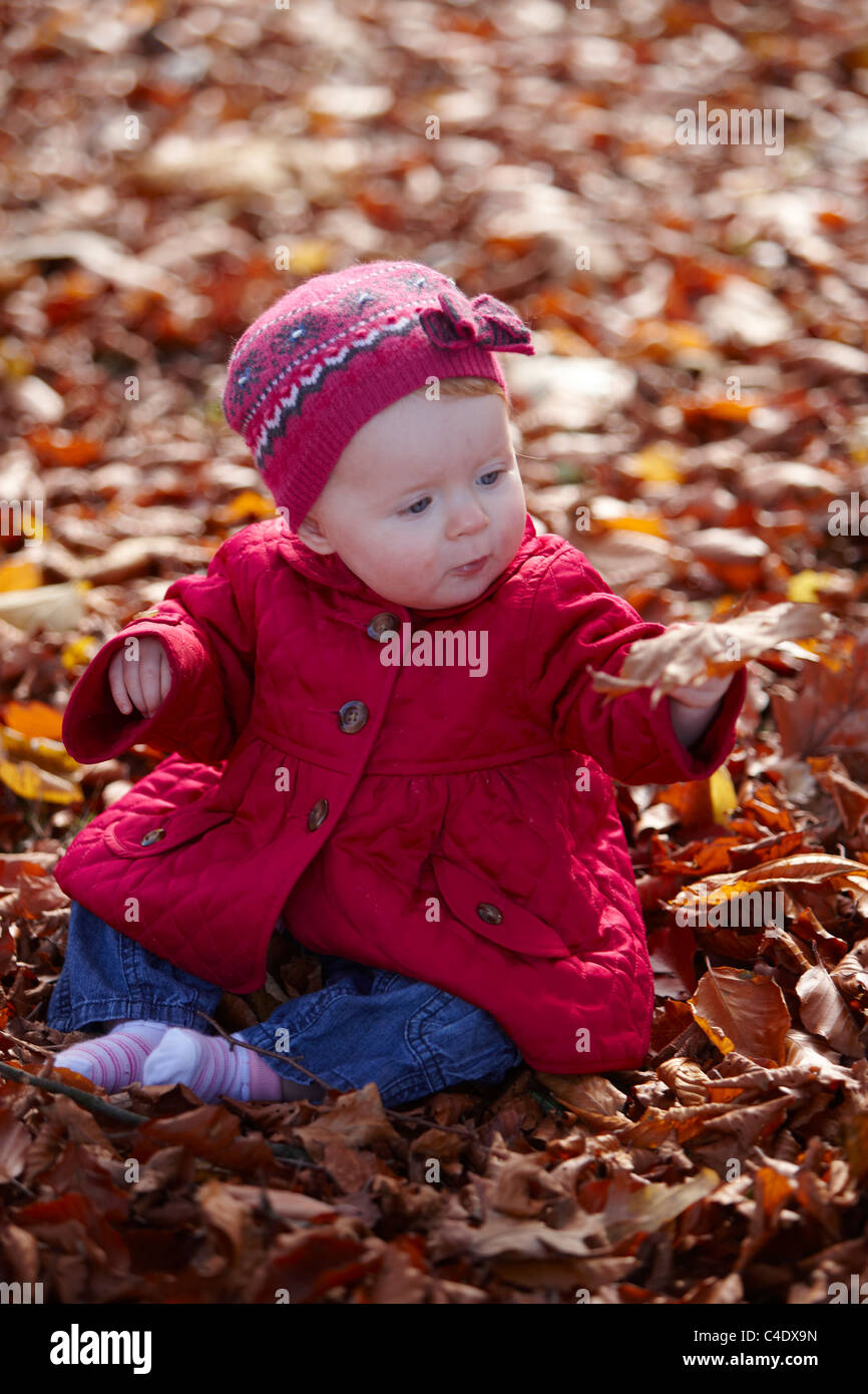 8 Month old baby girl in park in autumn with leaves around Stock Photo