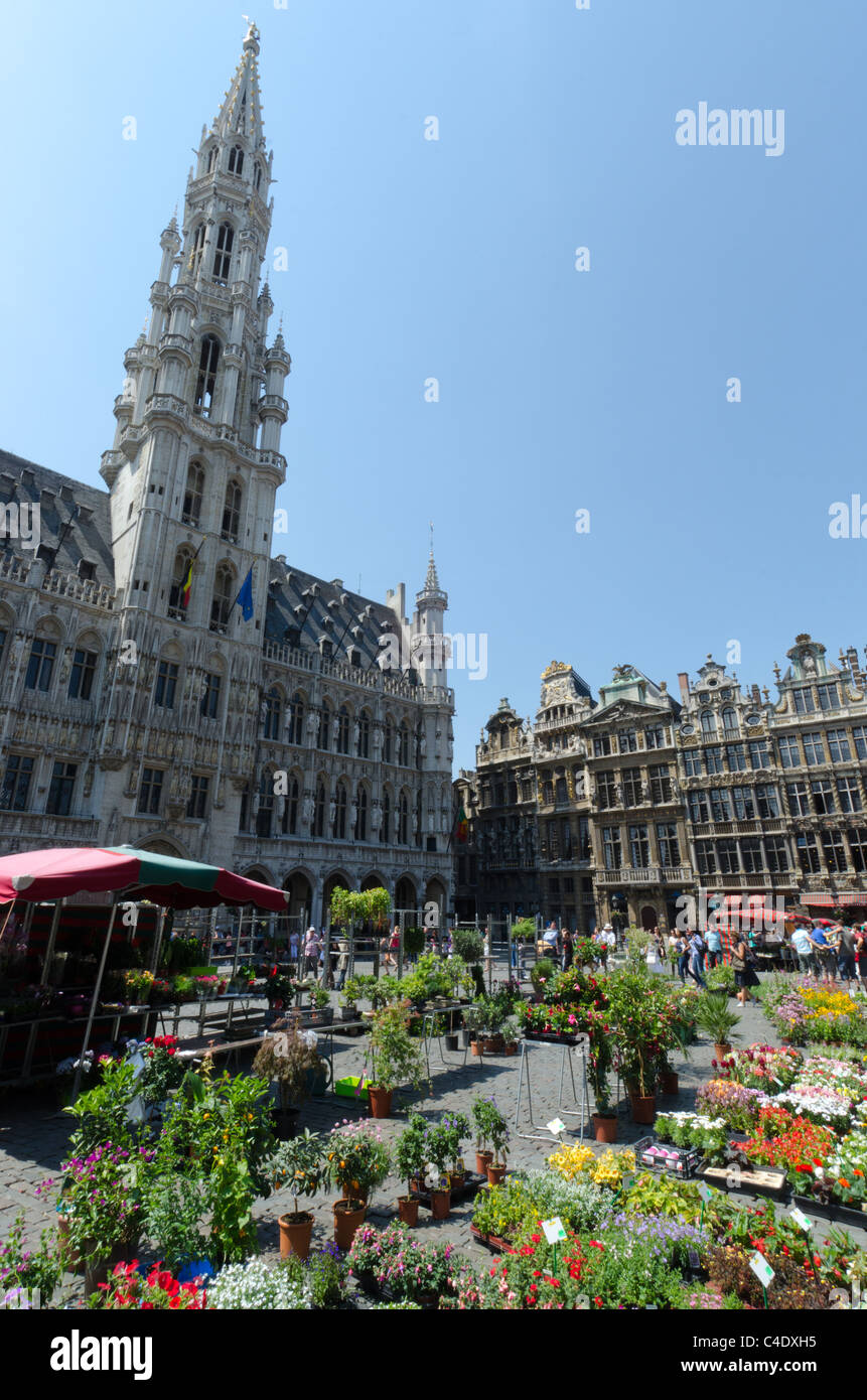 Flower market, Town Hall, Grand Place in Brussels Stock Photo Alamy