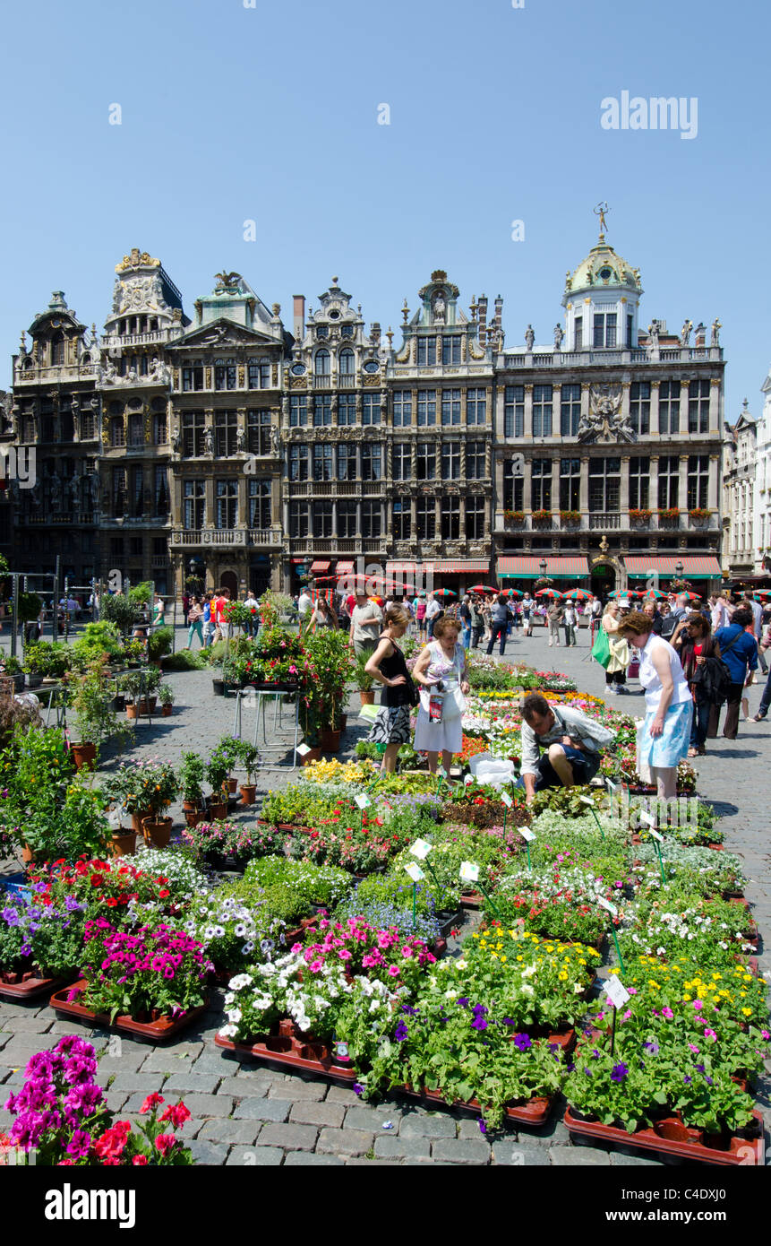 Flower market in Grand Place in Brussels Stock Photo Alamy