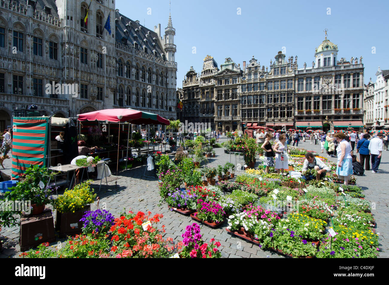 Flower market in Grand Place in Brussels Stock Photo Alamy