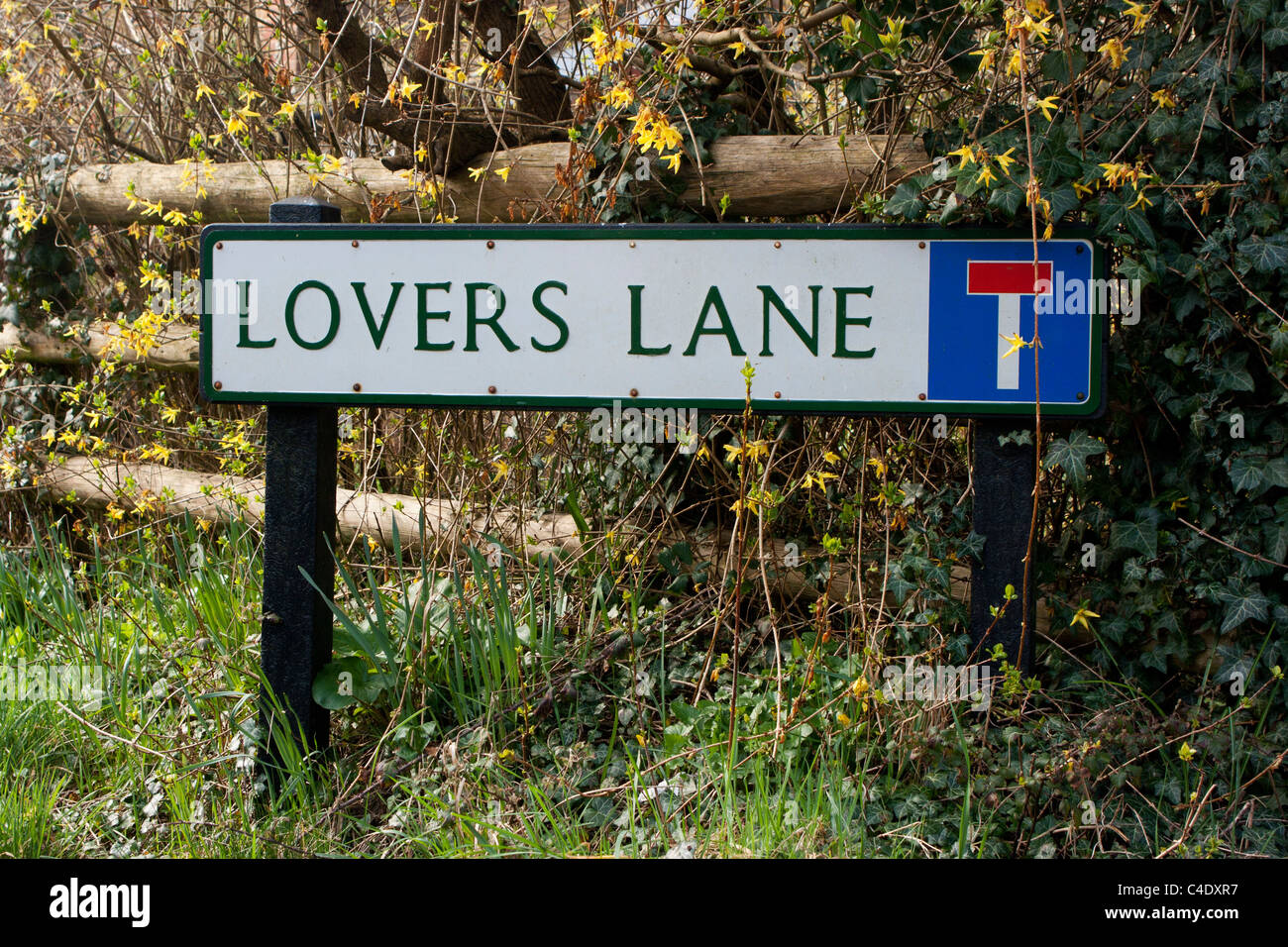 Lovers lane road sign Stock Photo Alamy