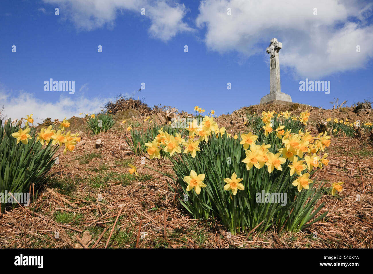 Brynrefail, Isle of Anglesey, North Wales, UK. The Morris Memorial celtic cross to Lewis, Richard and William Morris in spring Stock Photo