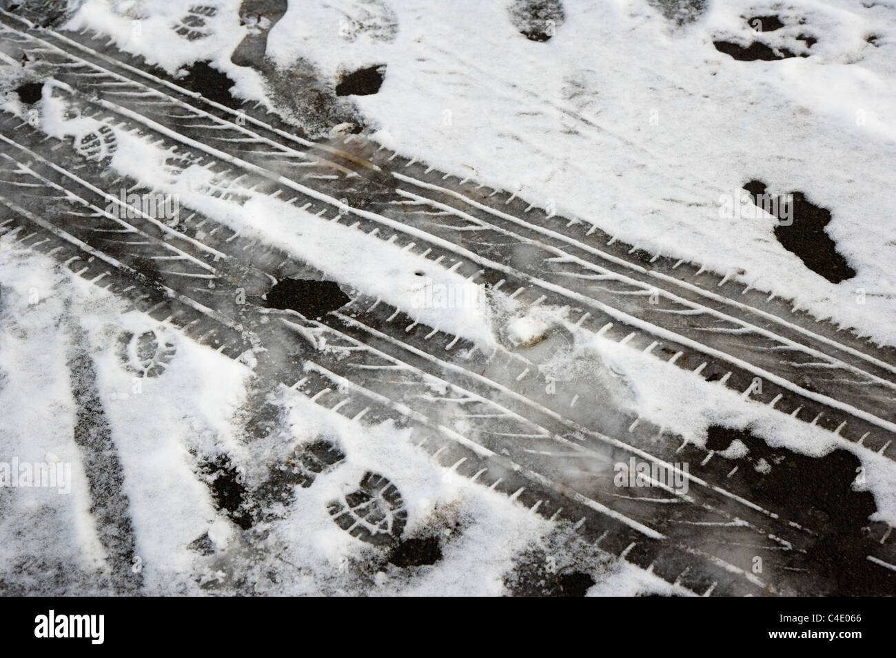 Prints on snow Stock Photo Alamy