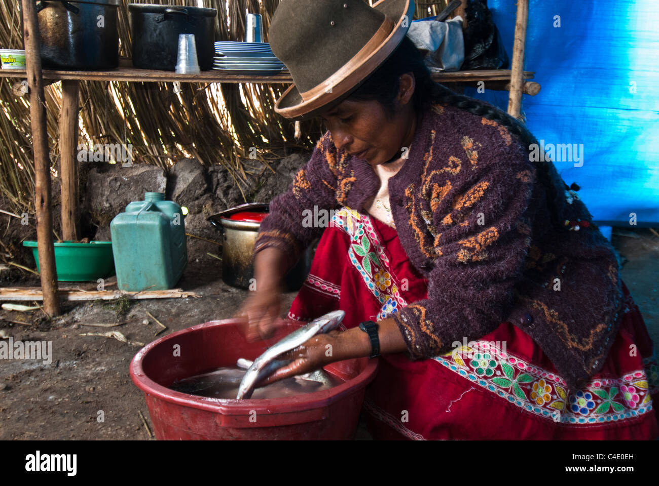 Peasant woman wearing hat in traditional dress cleaning trout in a simple reed hut in the Peruvian Andes Stock Photo