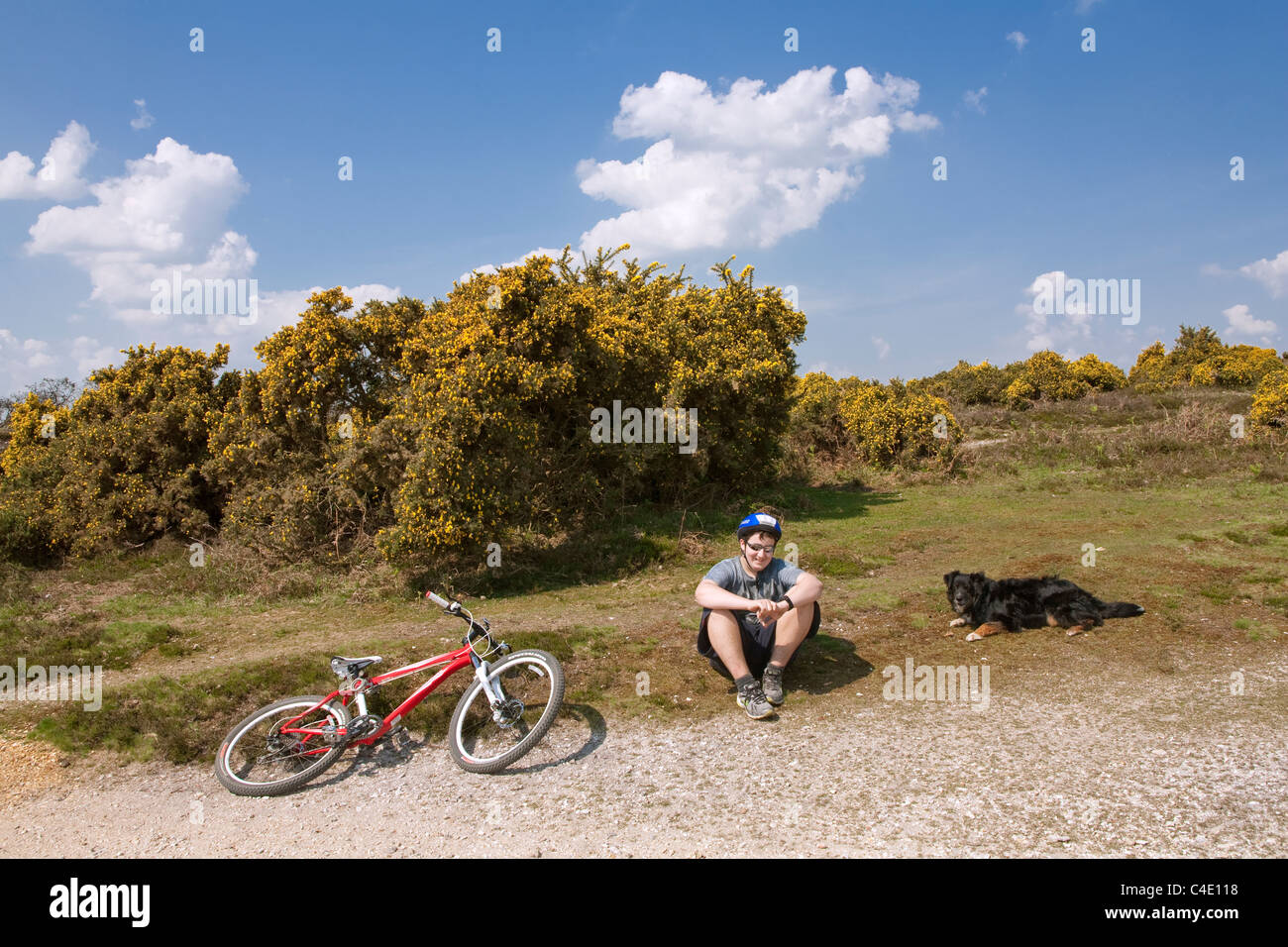 new forest cycle trails