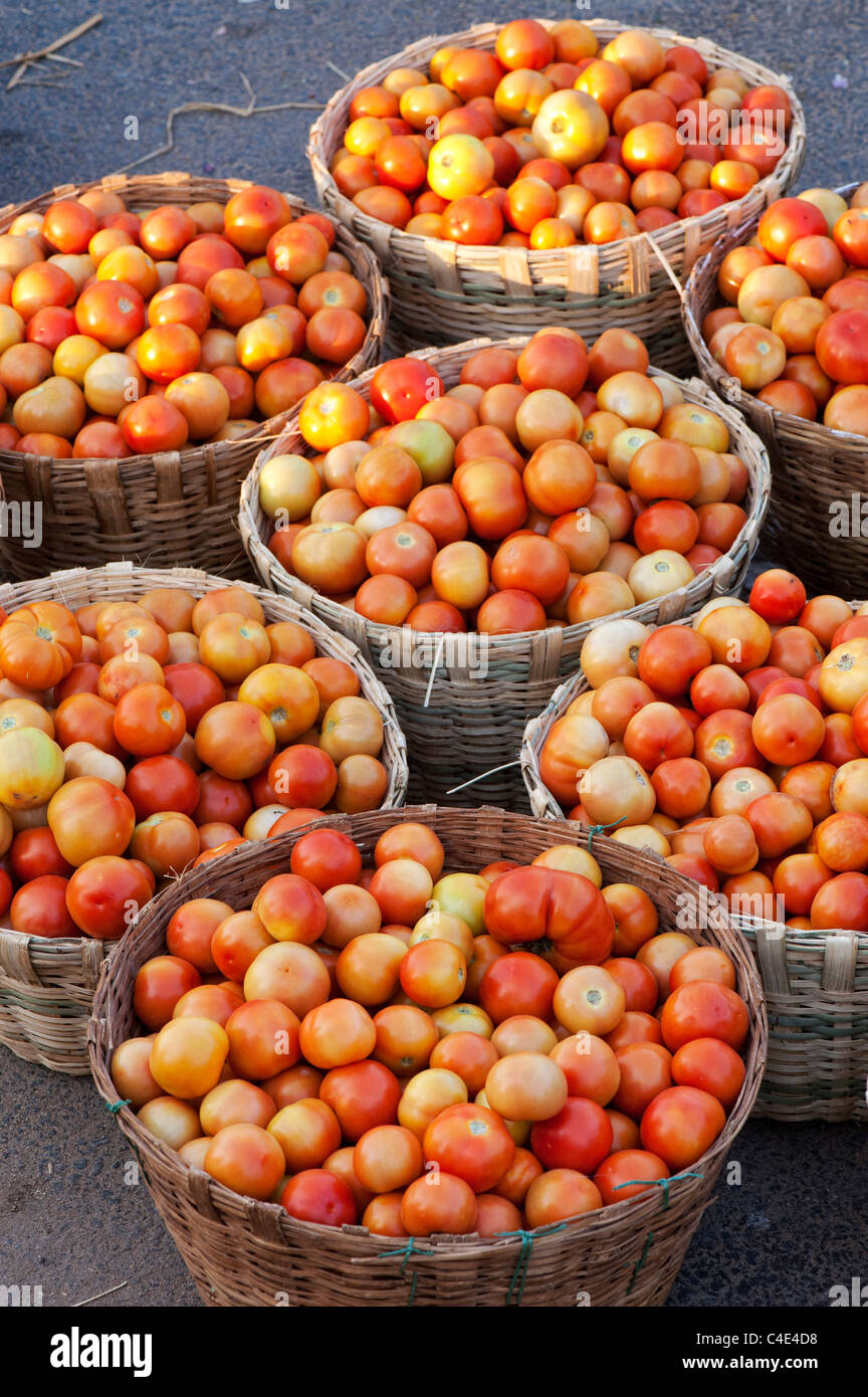 Tomatoes in baskets at an Indian market Stock Photo - Alamy