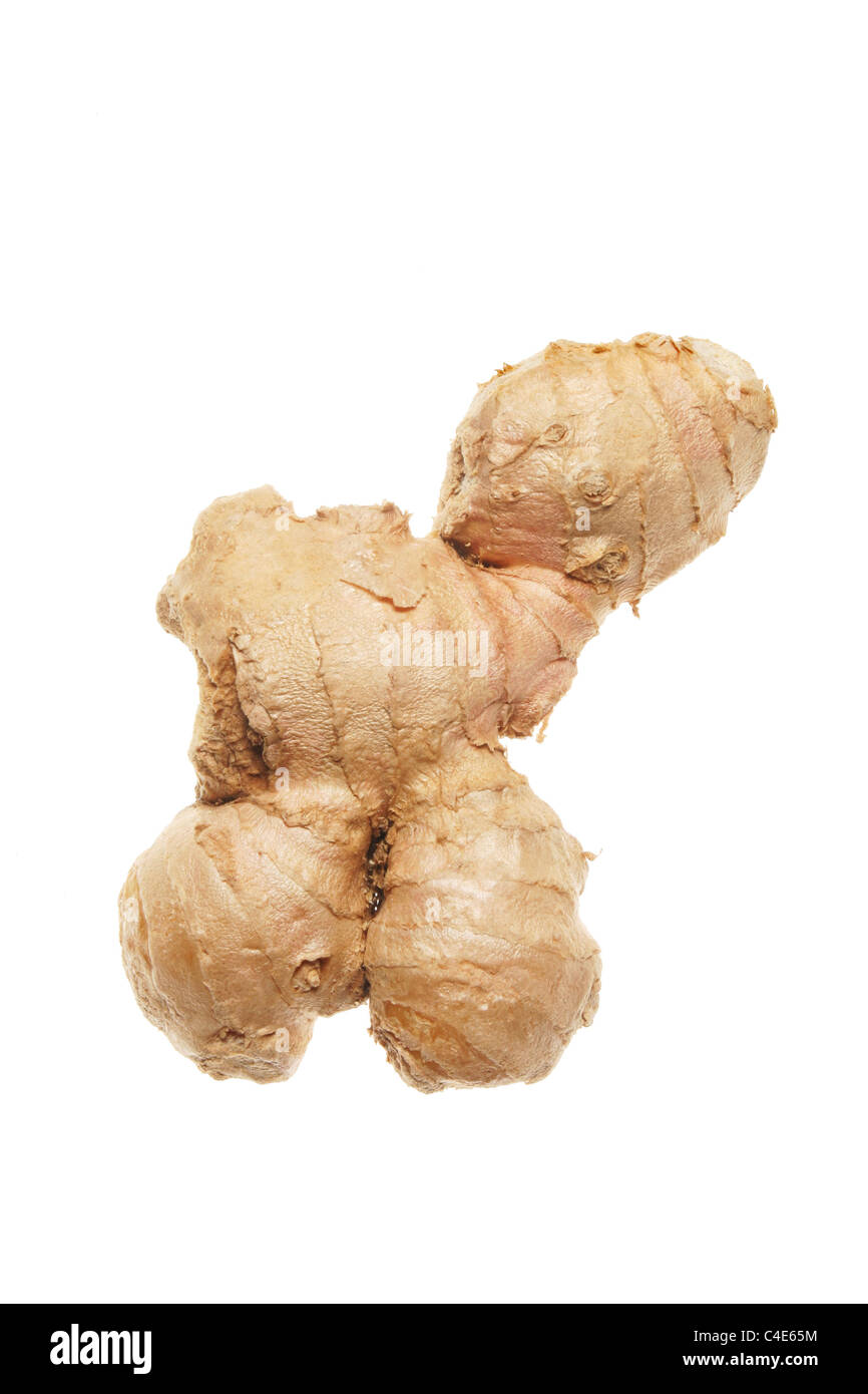 A piece of root ginger isolated on white Stock Photo