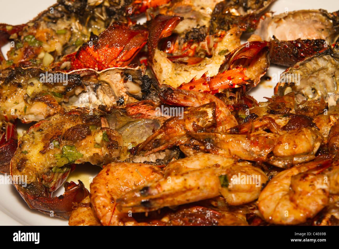 Lobster Recipes Indian