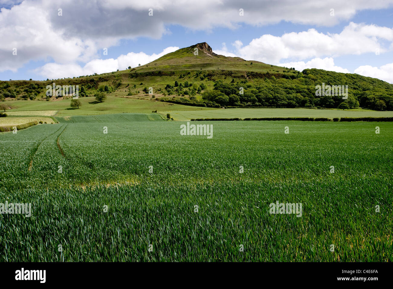 Roseberry Topping in the sunshine, North York Moors, England Stock Photo -  Alamy