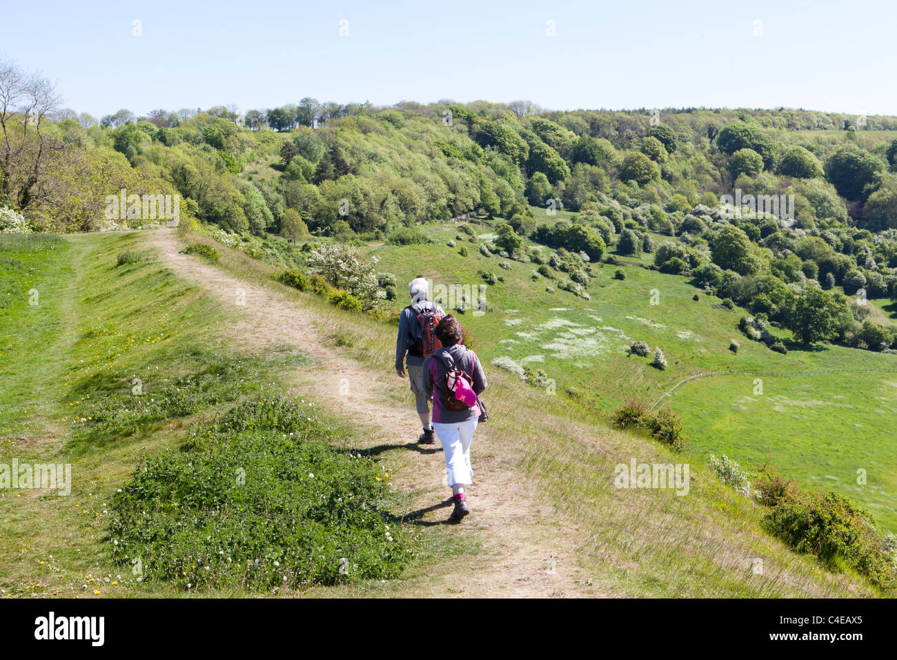 A couple walking the Cotswold Way National Trail on Haresfield Hill, Gloucestershire, England UK Stock Photo