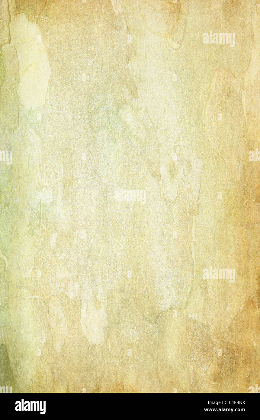 Grunge paper texture background Stock Photo
