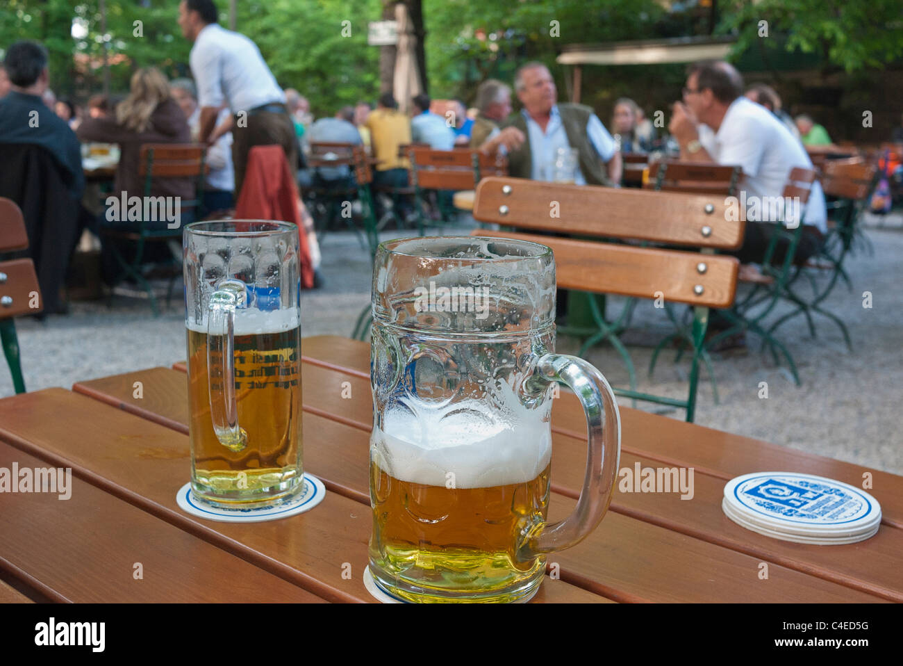 A typical very large beer stein next to a much smaller beer glass on a table at the Augustiner-Keller beer garden in Munich. Stock Photo