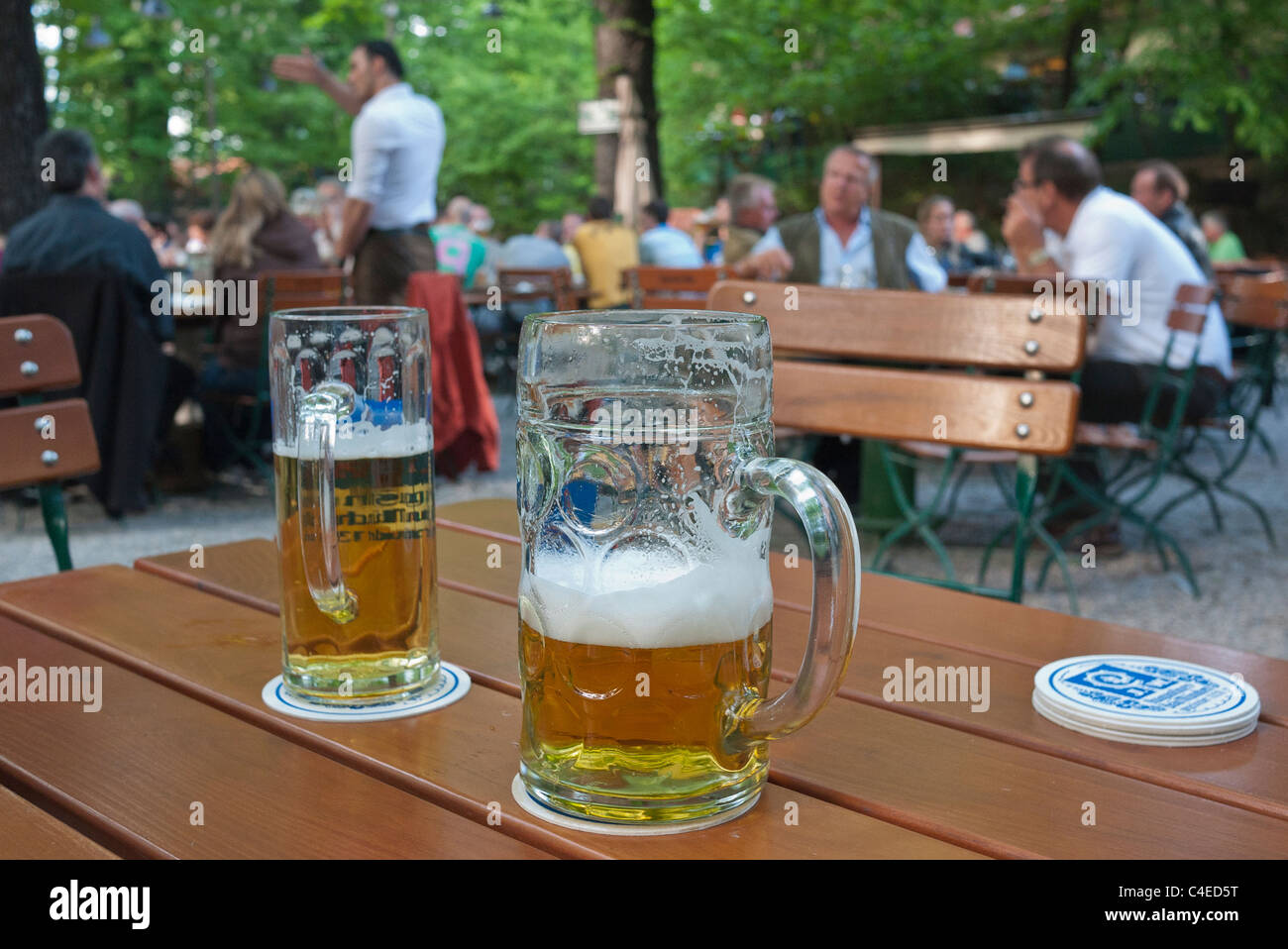 A typical very large beer stein next to a much smaller beer glass on a table at the Augustiner-Keller beer garden in Munich. Stock Photo