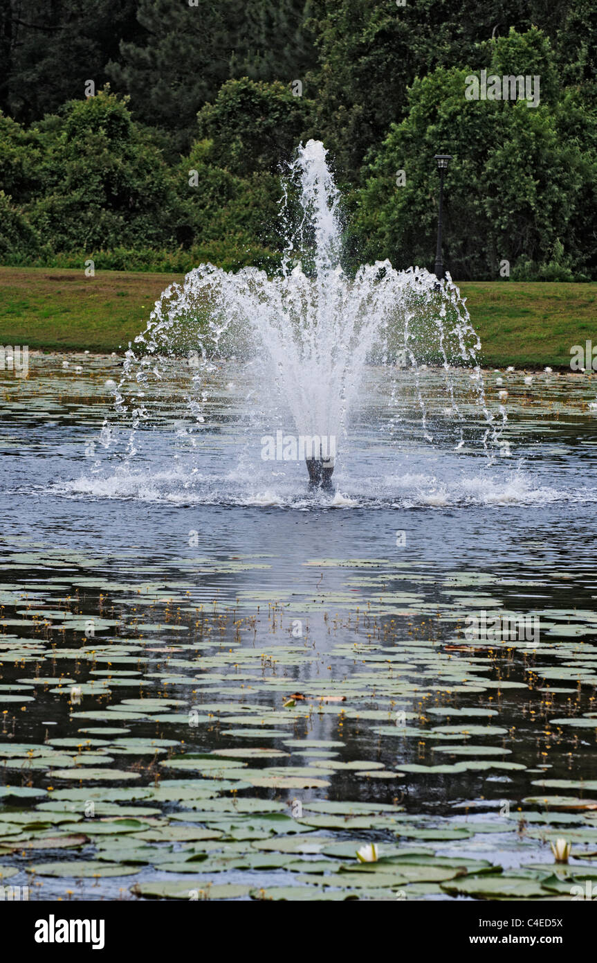 Simple water feature hi-res stock photography and images - Alamy
