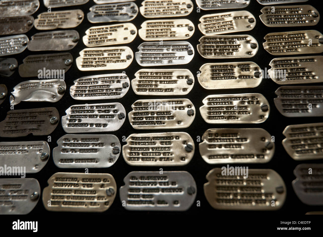 Florida Panhandle Carrabelle.  Collection of old military dog tags at Camp Gordon Johnston World War 2 Museum. Stock Photo