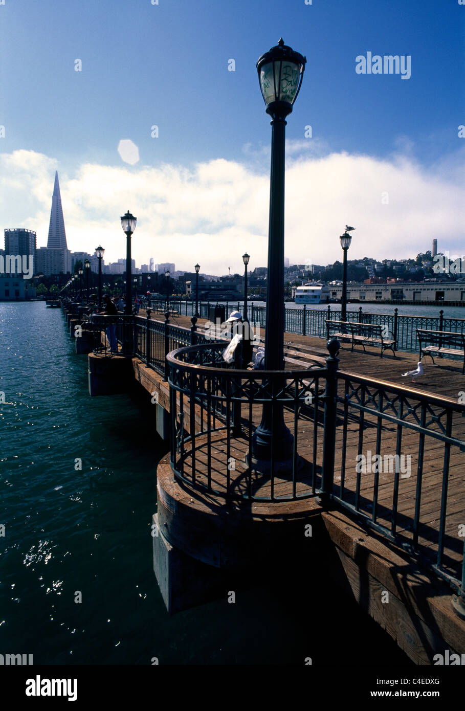 Man fishing from Pier 7 in San Francisco, California with TransAmerica building in background. © Craig M. Eisenberg Stock Photo