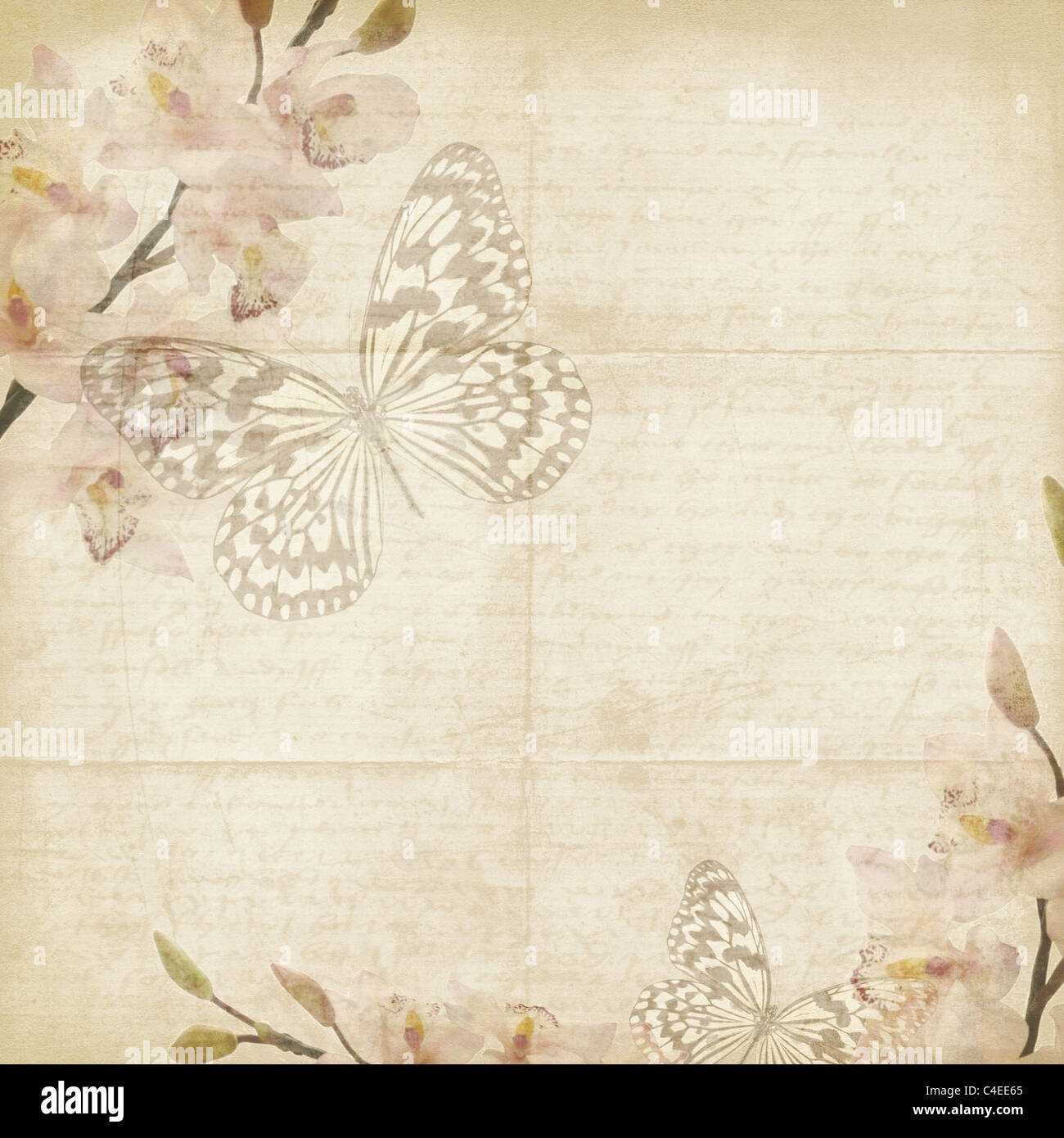 vintage floral background with orchids, text, space for text or image ...