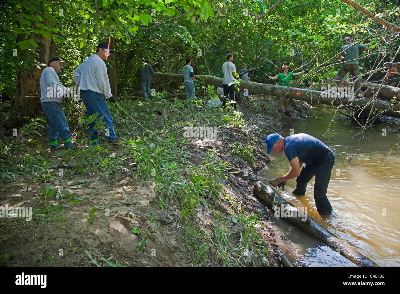Volunteers Clear Logjam as Part of Annual Cleanup of the Rouge River Stock Photo