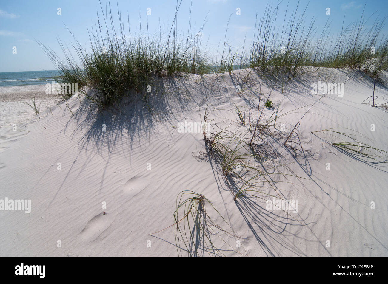 Gulf beaches along Florida's Panhandle at St. Joseph Peninsula State ...