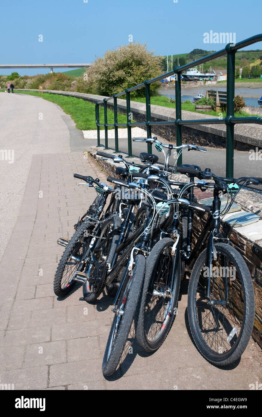 Bicycles for hire on the Camel Trail at Wadebridge, in Cornwall, UK Stock Photo