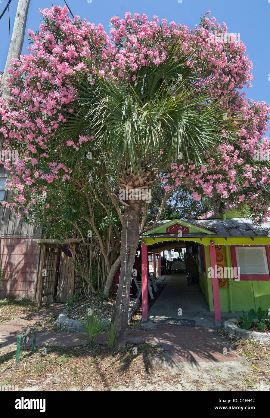 Florida Panhandle Apalachicola. Boss Oyster restaurant entrance along