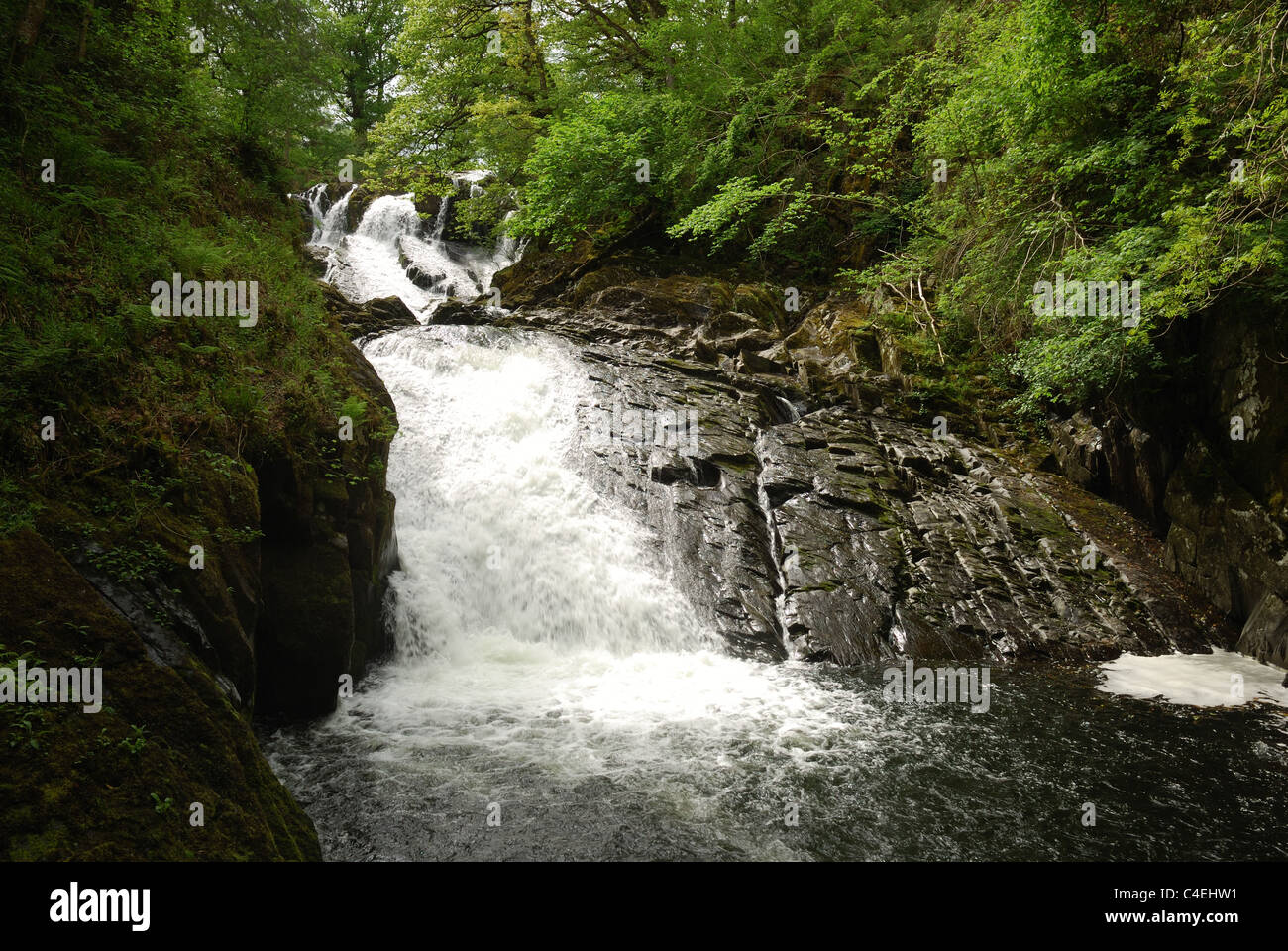 Swallow Falls, Conwy, North Wales, UK Stock Photo