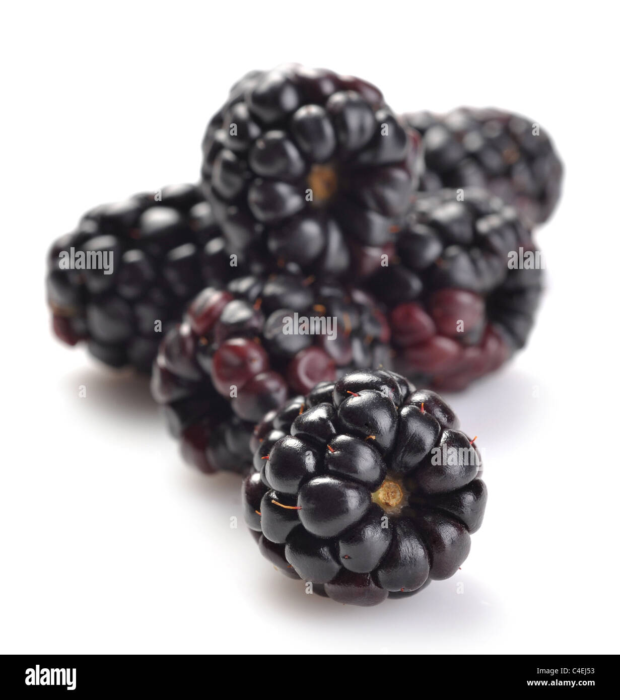 dewberries (blackberries) on white background Stock Photo