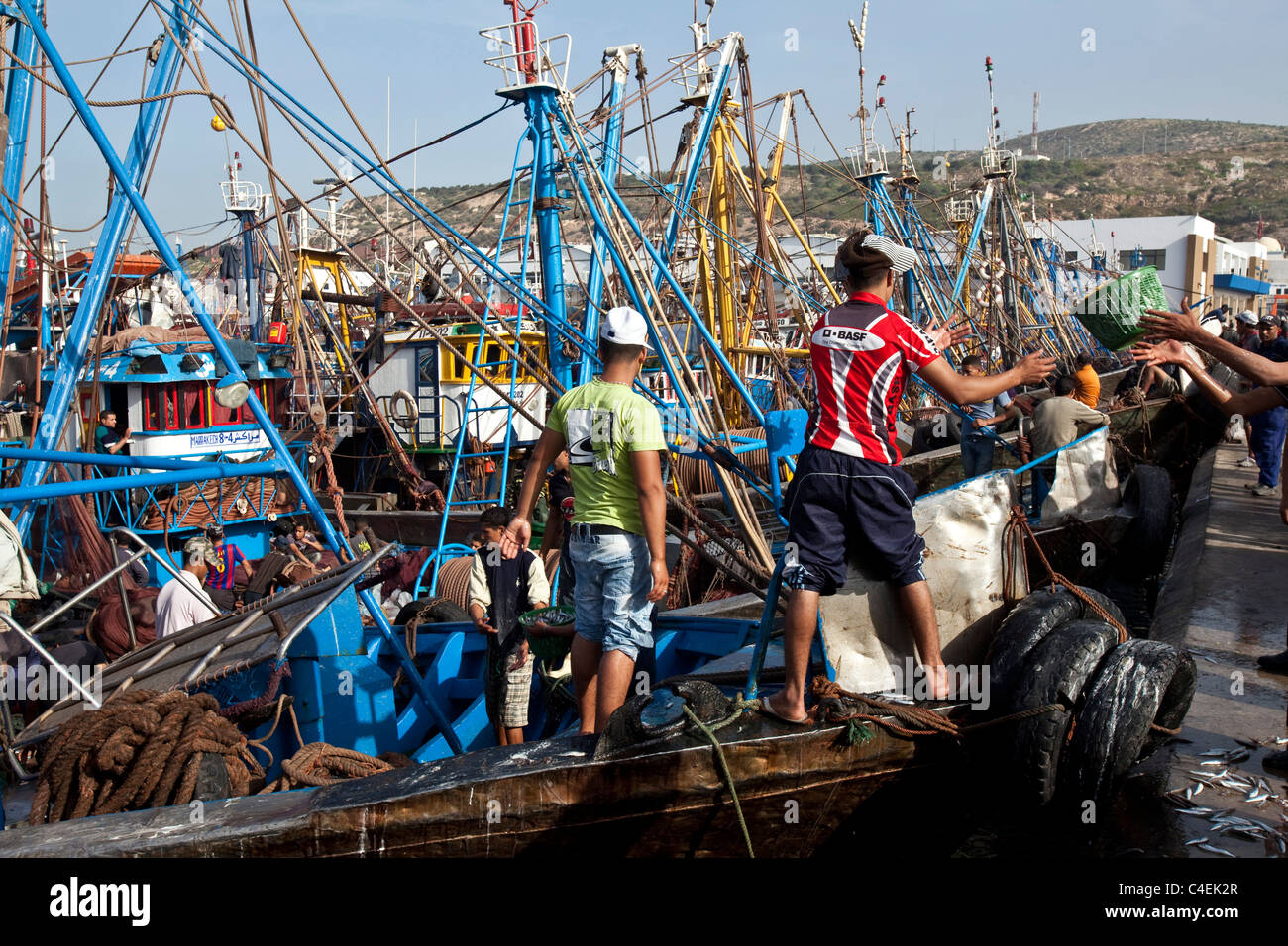 Fishermen bringing in the catch, Agadir, Morocco Stock Photo - Alamy