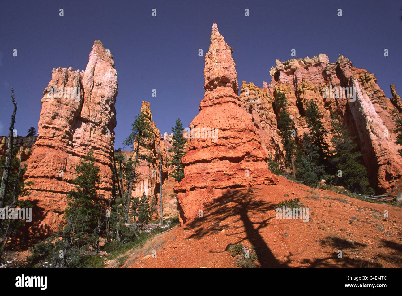 Natural rock formations called hoodoo's.Bryce National Park, Utah.. Stock Photo