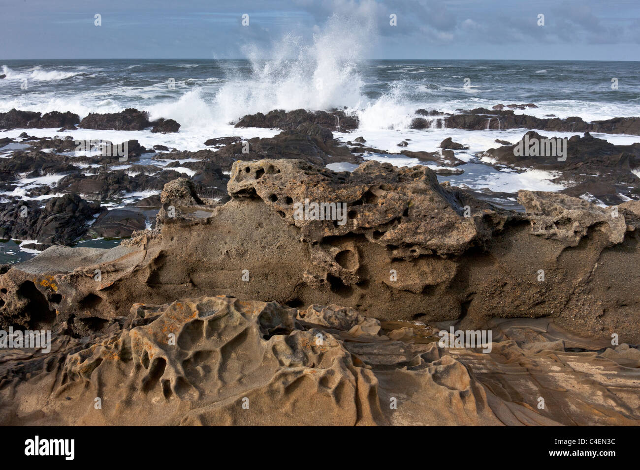 Tafoni etched sandstone at Bean Hollow State Beach with Pacific waves