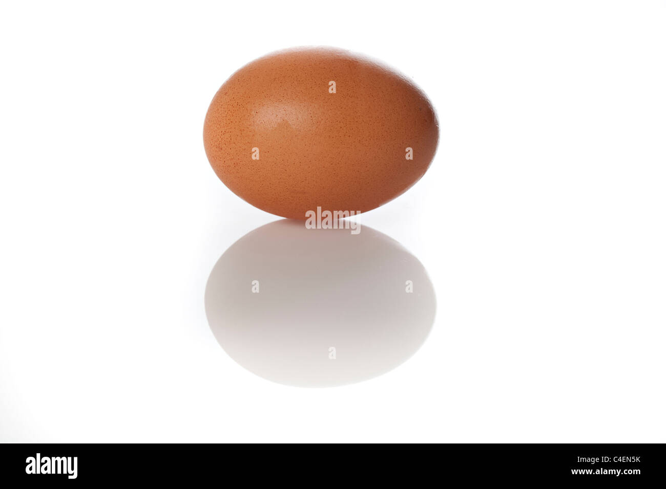 A brown egg on a white background Stock Photo - Alamy