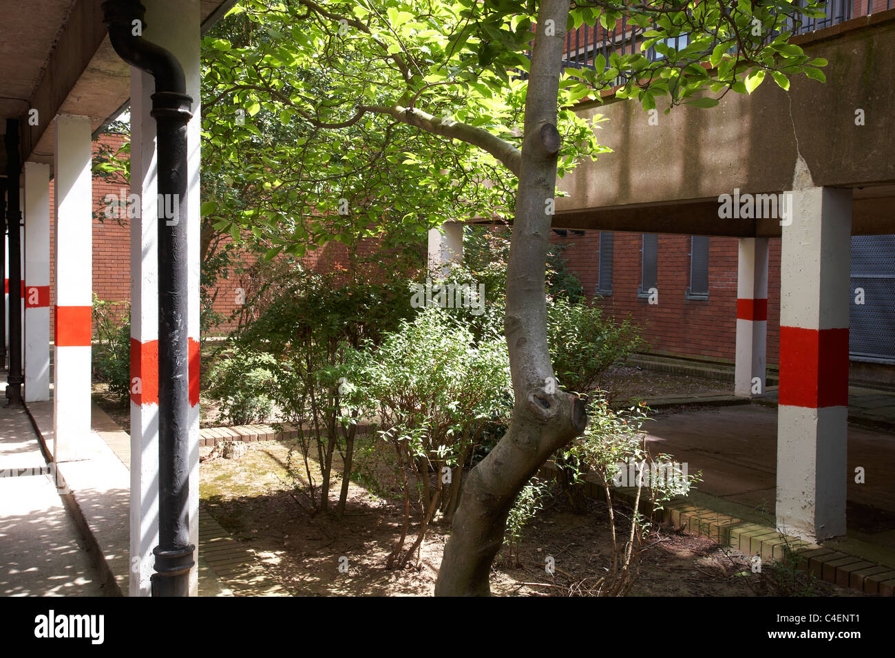 plants-and-trees-in-underground-carpark-in-crewe-cheshire-uk-stock