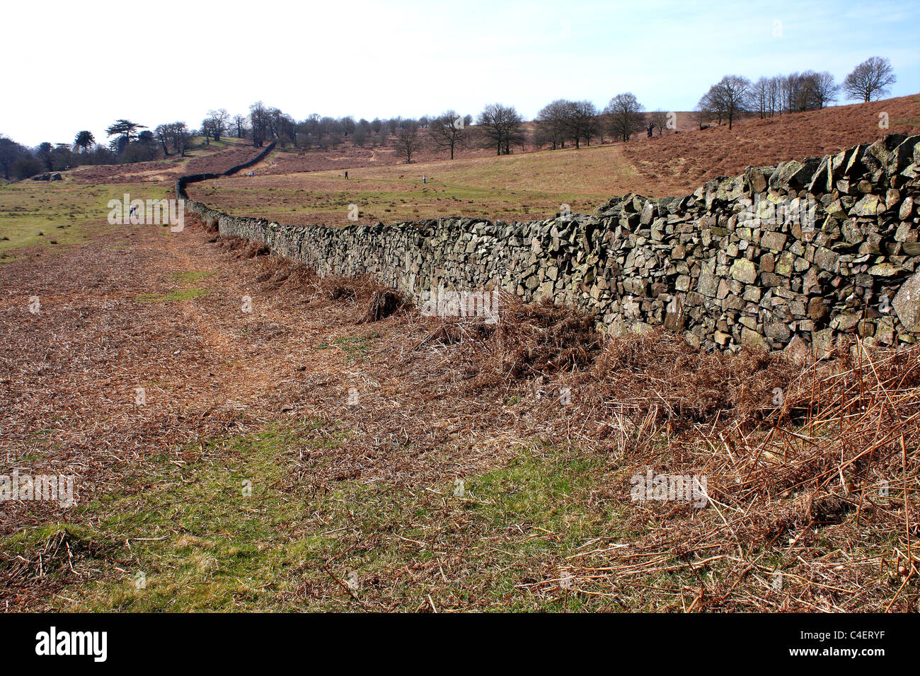 Fields that disappear in to the distance with a hand built cobble stone wall. Stock Photo