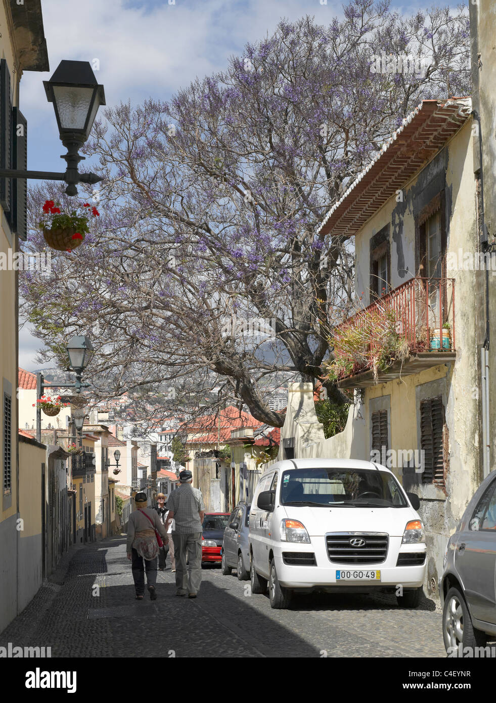 Cars parked in narrow street of Rua De Santa Maria Old Town Funchal Madeira Portugal EU Europe Stock Photo