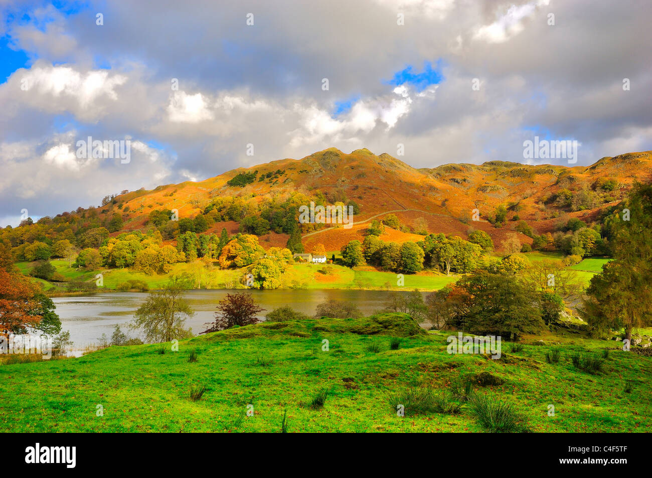 loughrigg, tarn, autumn, lake district, england, cumbria, uk, Stock Photo
