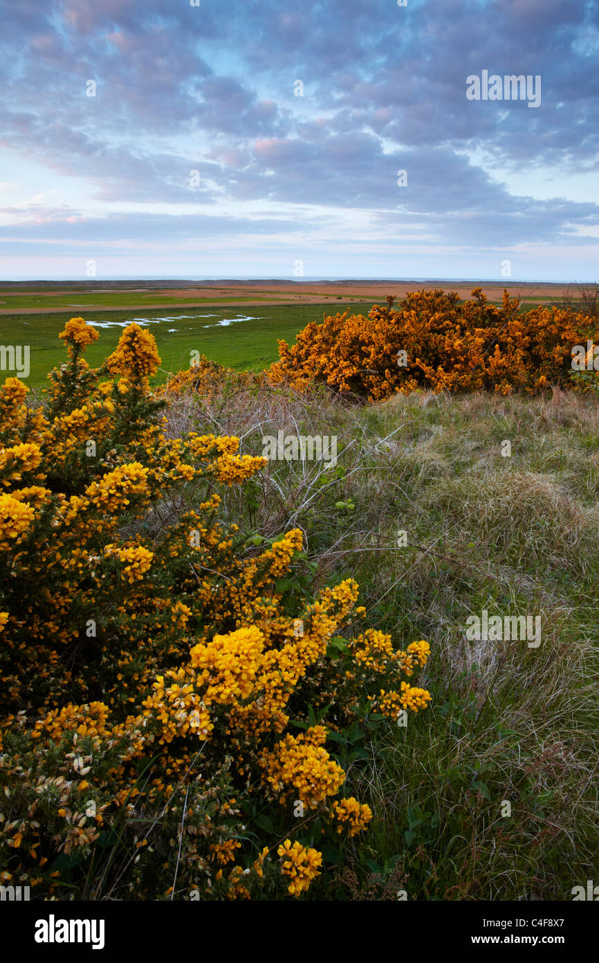 The view from Walsey Hills over the Saltmarshes at Salthouse, North Norfolk Stock Photo