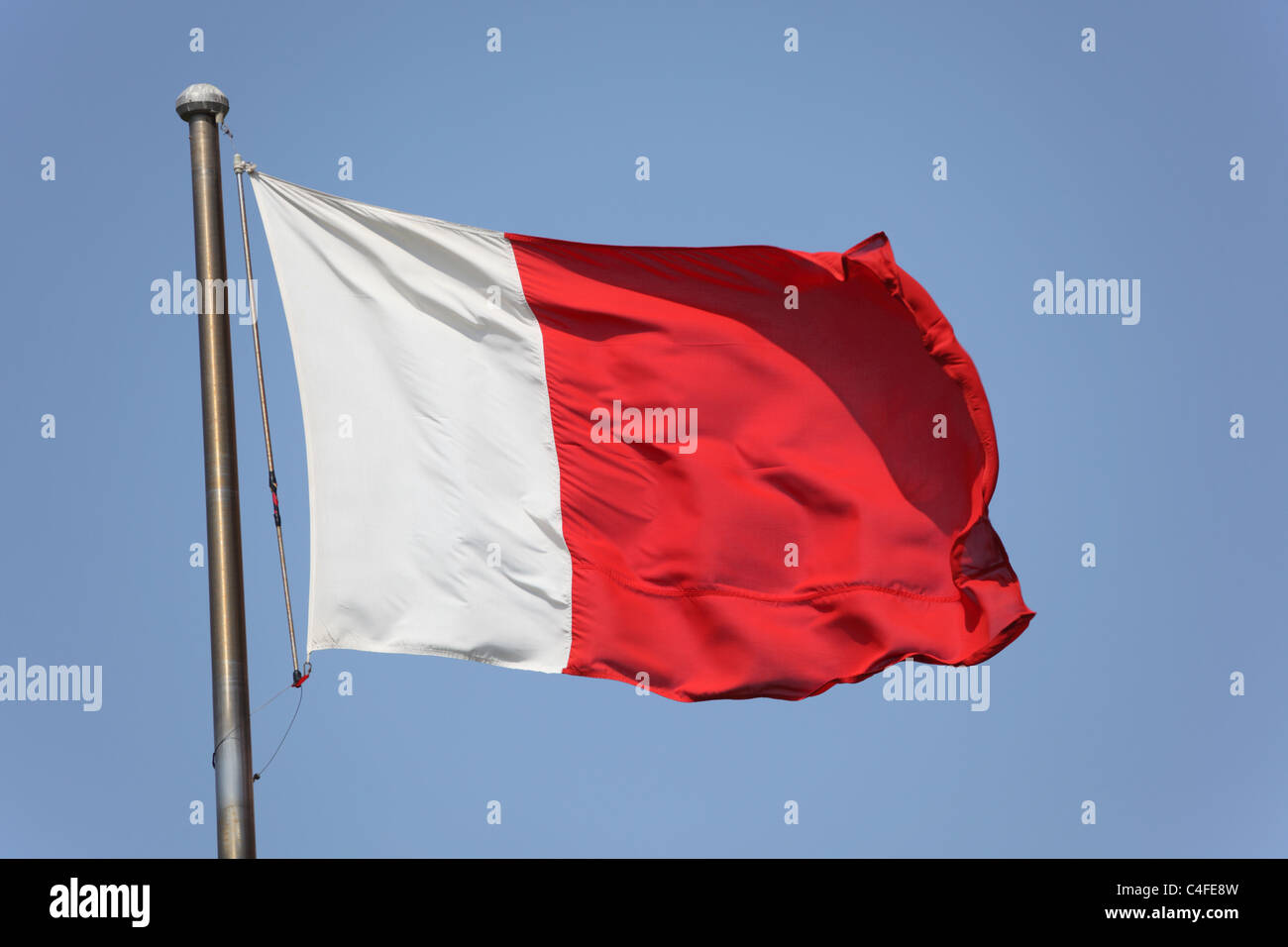 Flag of Dubai, United Arab Emirates Stock Photo Alamy