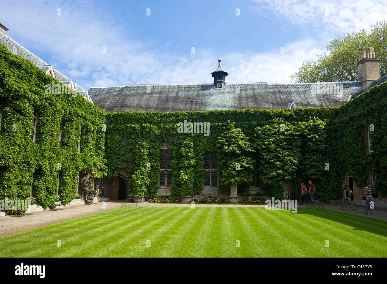 Chapel Quad, Lincoln College, Oxford University, Oxford,  England, UK, United Kingdom, GB, Great Britain, British Isles, Europe, Stock Photo