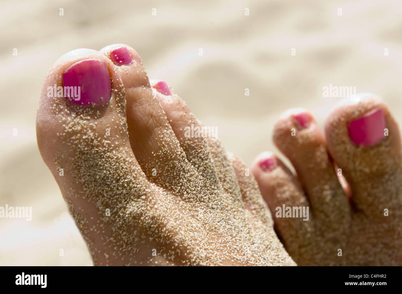 Painted toenails Stock Photo Alamy