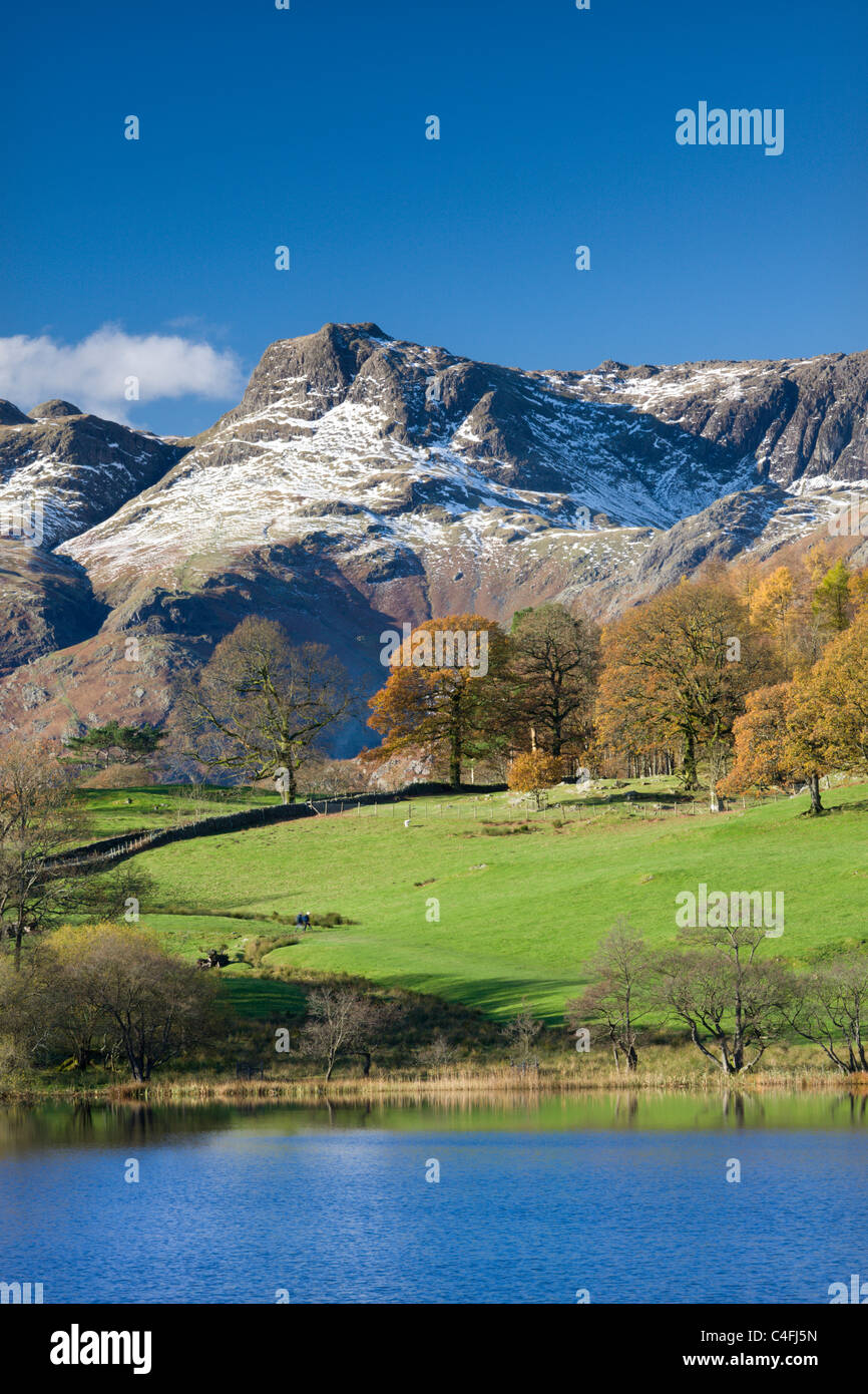 Snow dusted Langdale Pikes viewed from the shores of Loughrigg Tarn, Lake District National Park, Cumbria Stock Photo