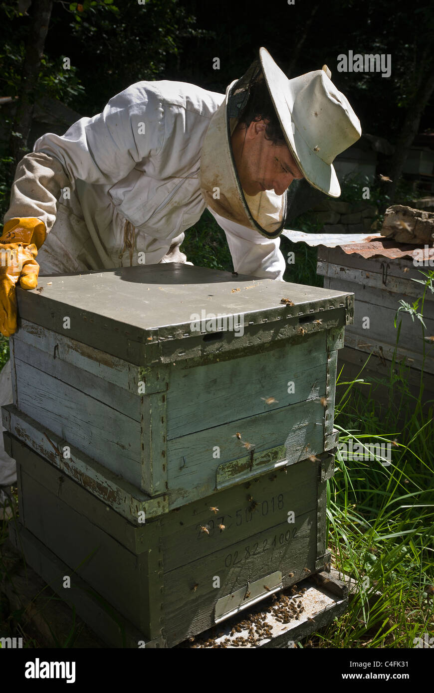 Beekeeping in a small exploitation of some twenty beehives, Anso, Huesca, Spain, Europe. Stock Photo